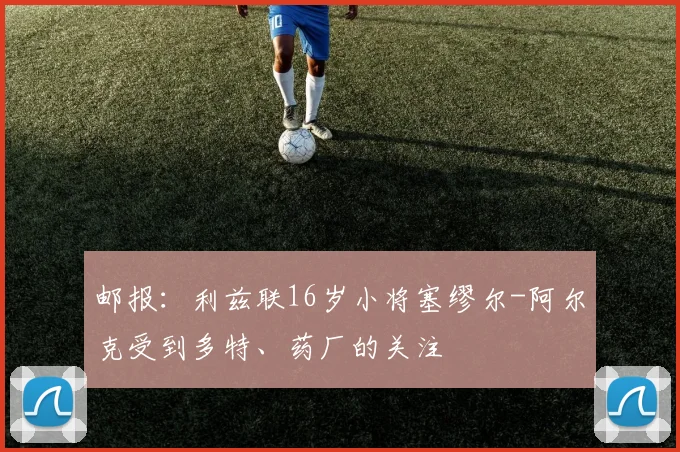 邮报：利兹联16岁小将塞缪尔-阿尔克受到多特、药厂的关注
